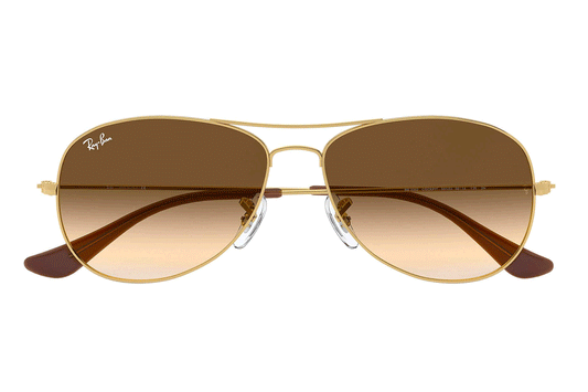 Rayban RB3362 Cockpit 001 51